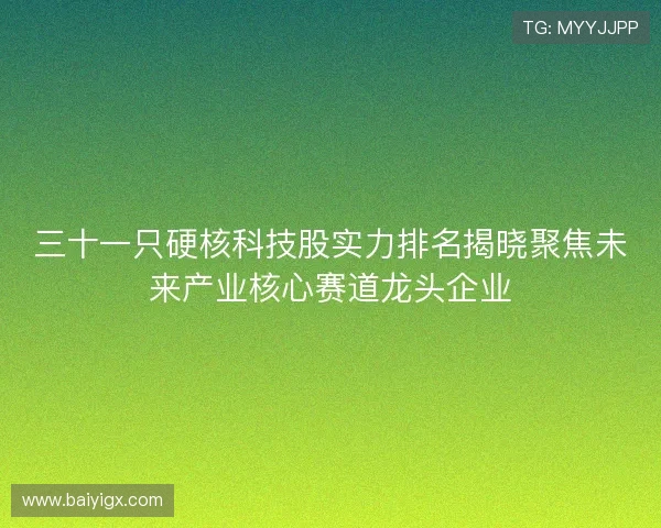 三十一只硬核科技股实力排名揭晓聚焦未来产业核心赛道龙头企业